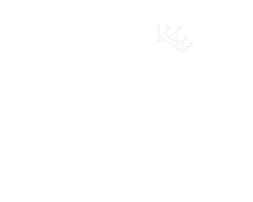VENUSY. TRAVEL luxury icon
